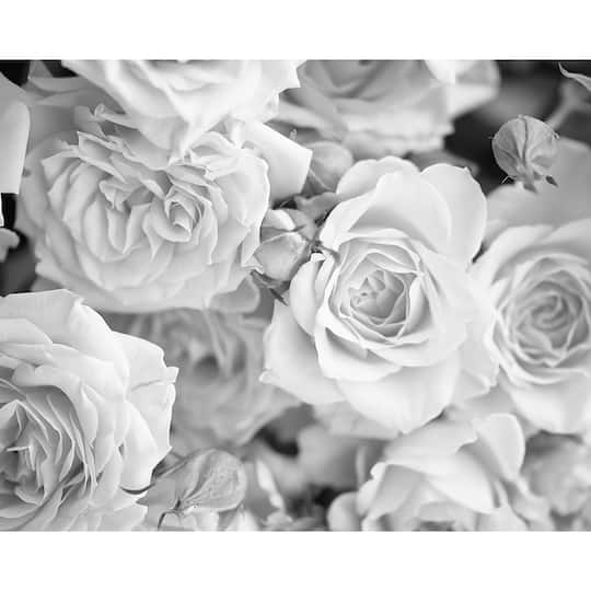 Ohpopsi Gray Petals Wall Mural